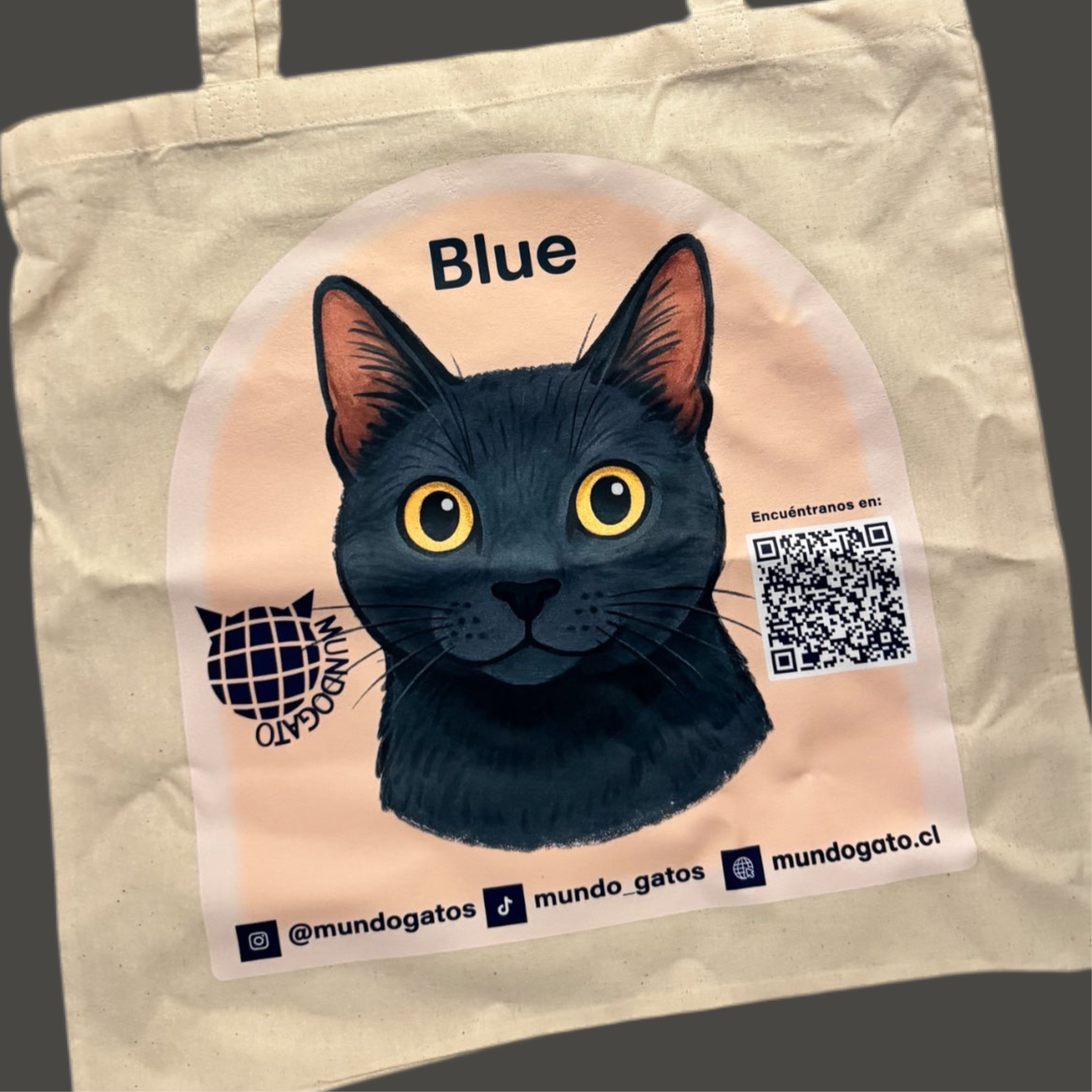 Tote bag Blue