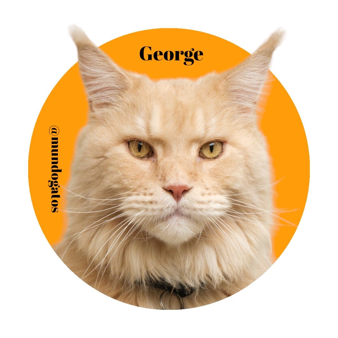 STICKER GEORGE – Mundogato ️🩺