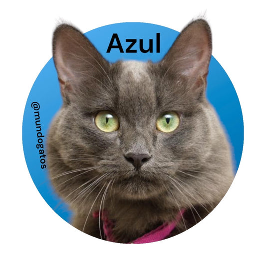 STICKERS AZUL