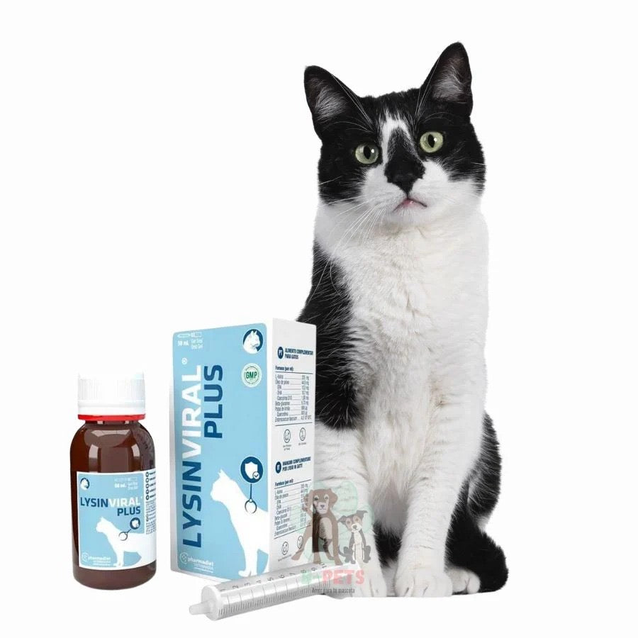 Lysinviral plus®️