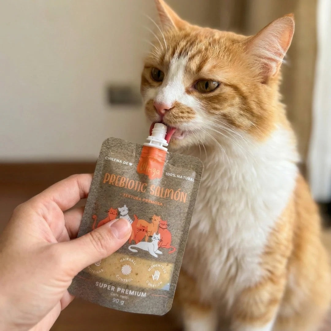 Winga Prebiotic Salmon Gatos