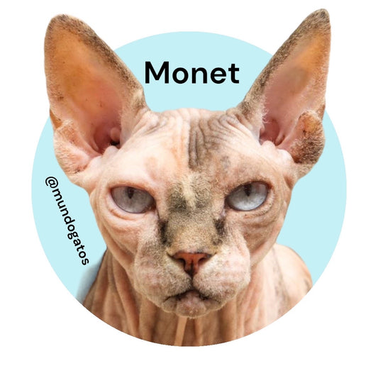 STIKER MONNETE