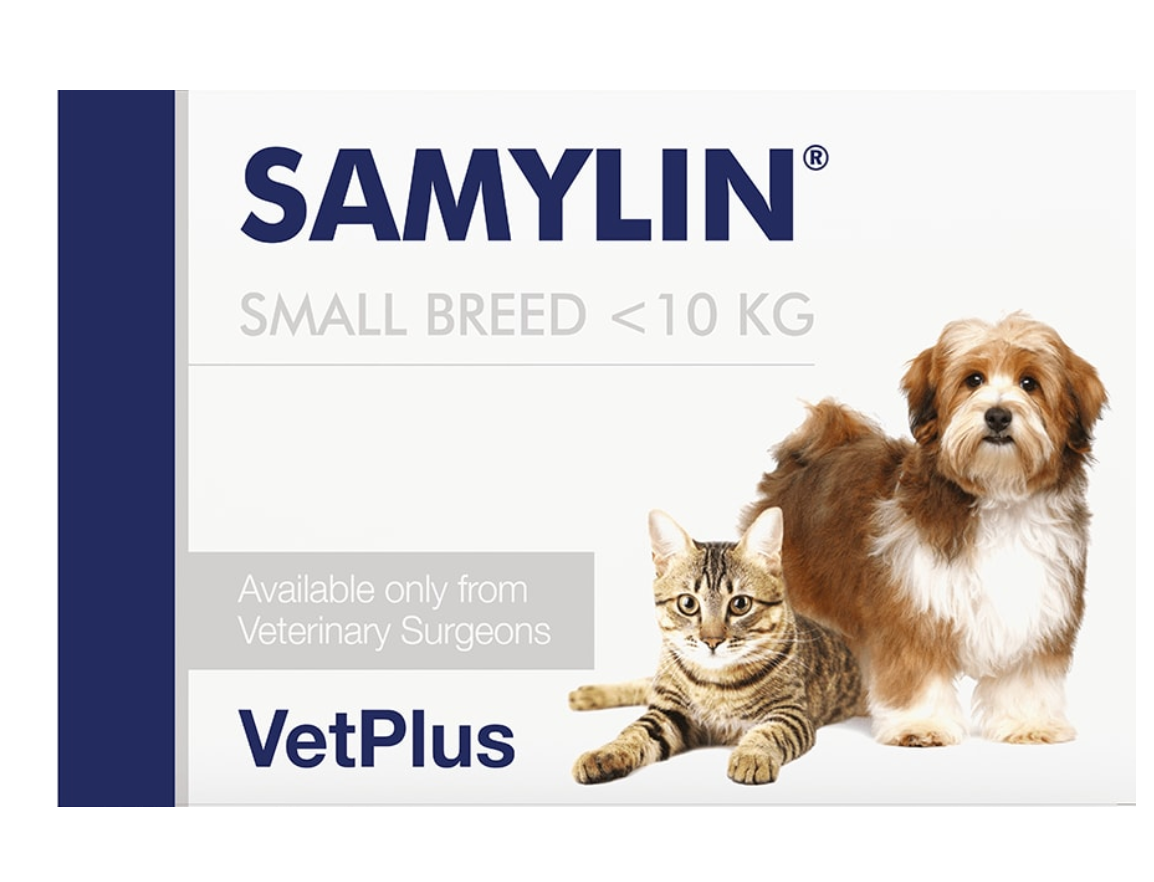 SAMYLIN GATOS 30 Comprimidos
