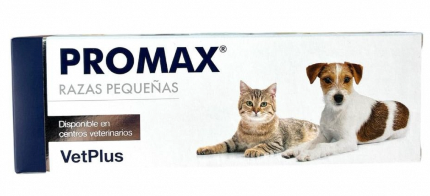 PROMAX Gatos