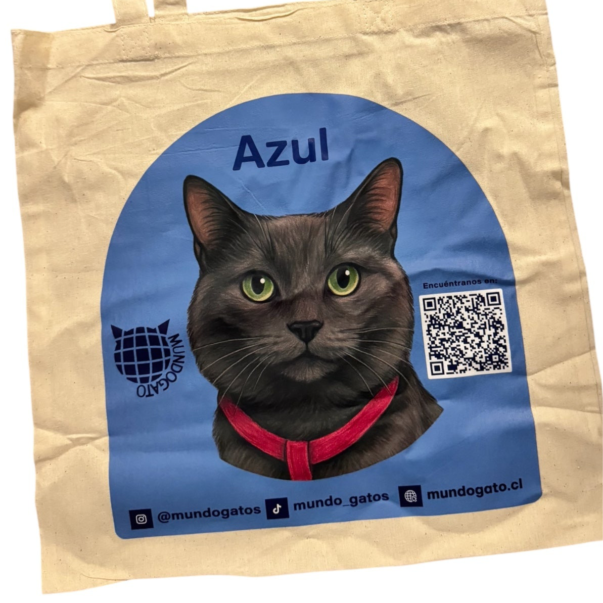Bolsa Azul TOTE BAG