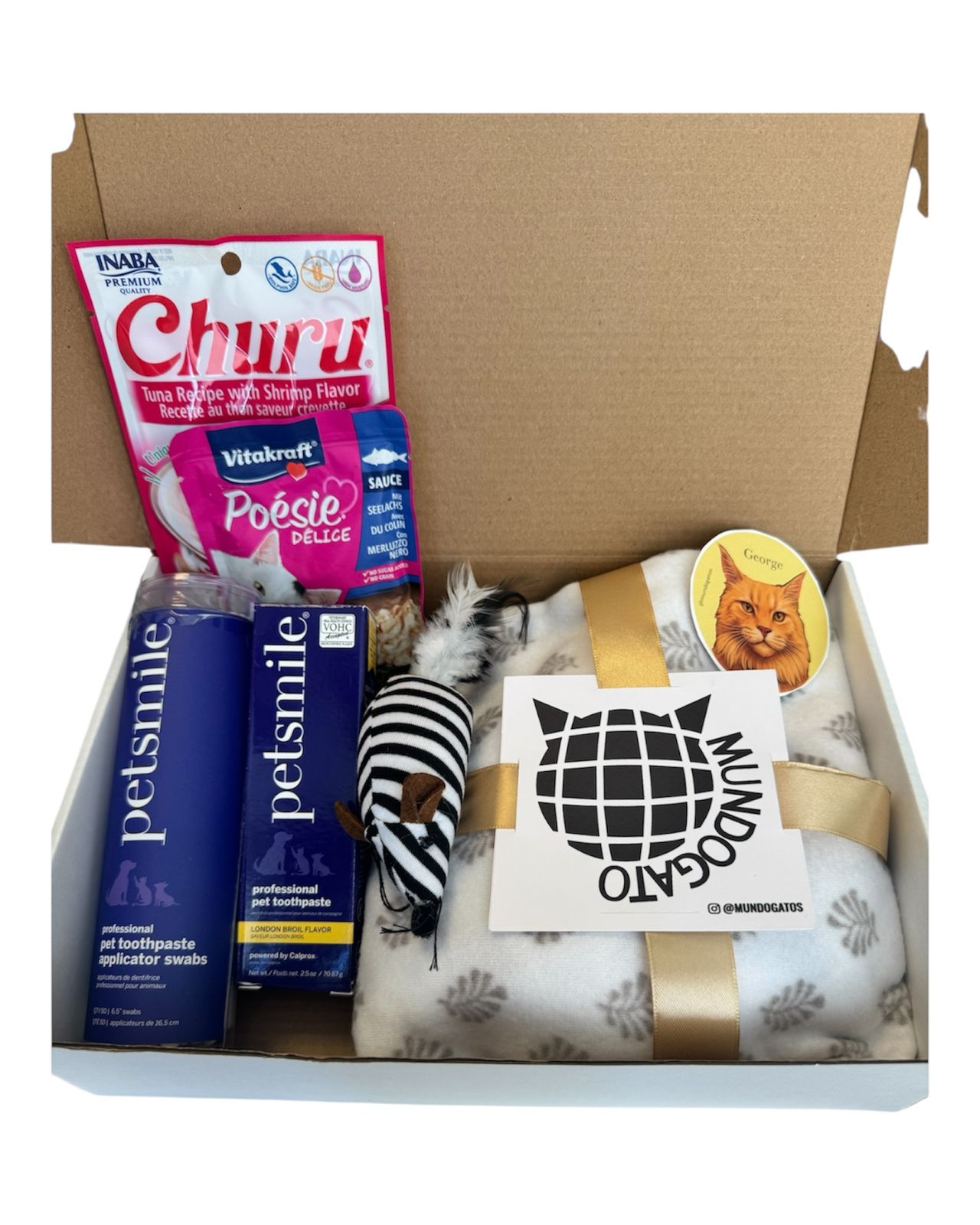 Cuidado Dental Rumba Box