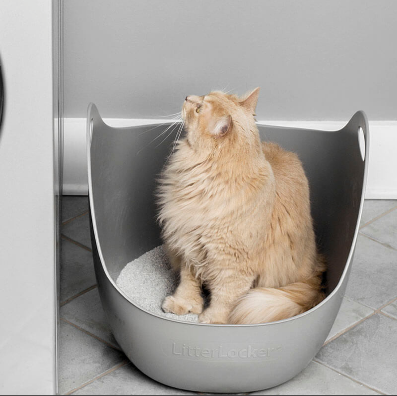 Caja arena CAT LITTER BOXES