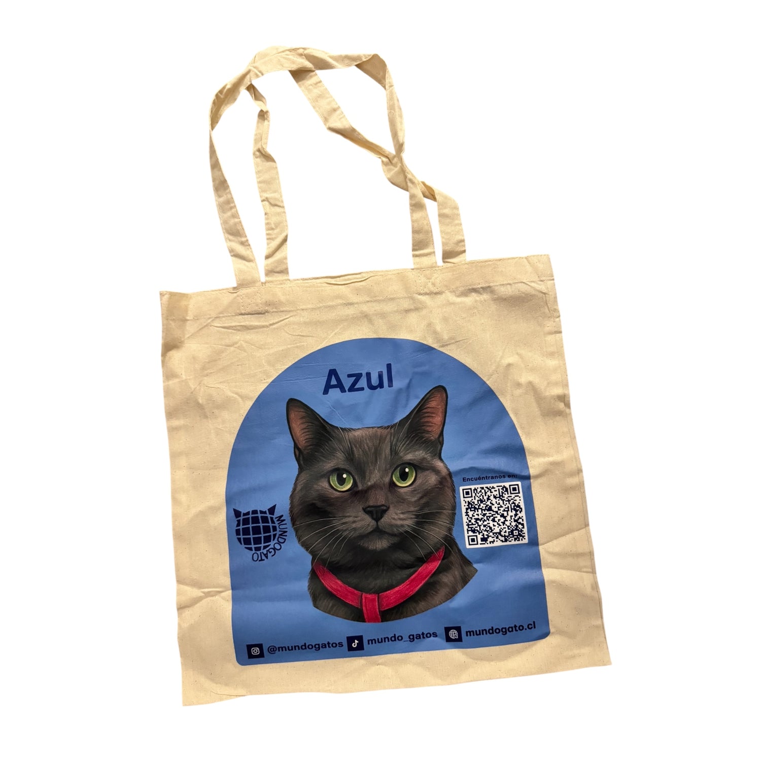 Bolsa Azul TOTE BAG