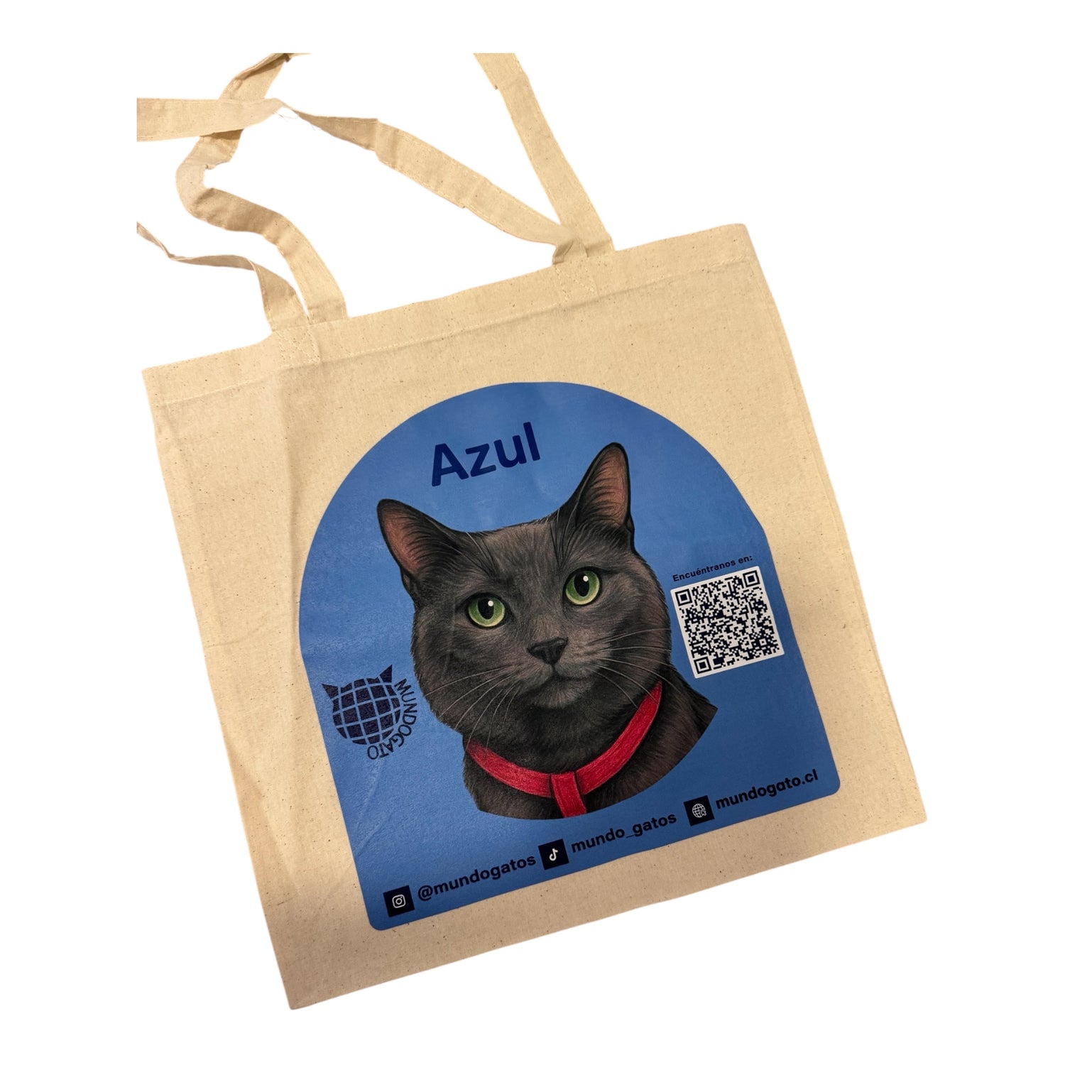 Bolsa Azul TOTE BAG