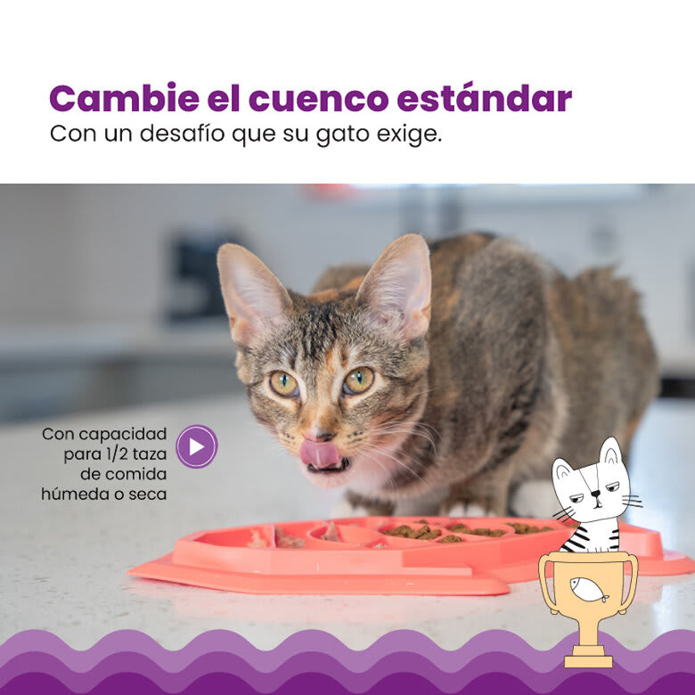 Plato plano forma de pez