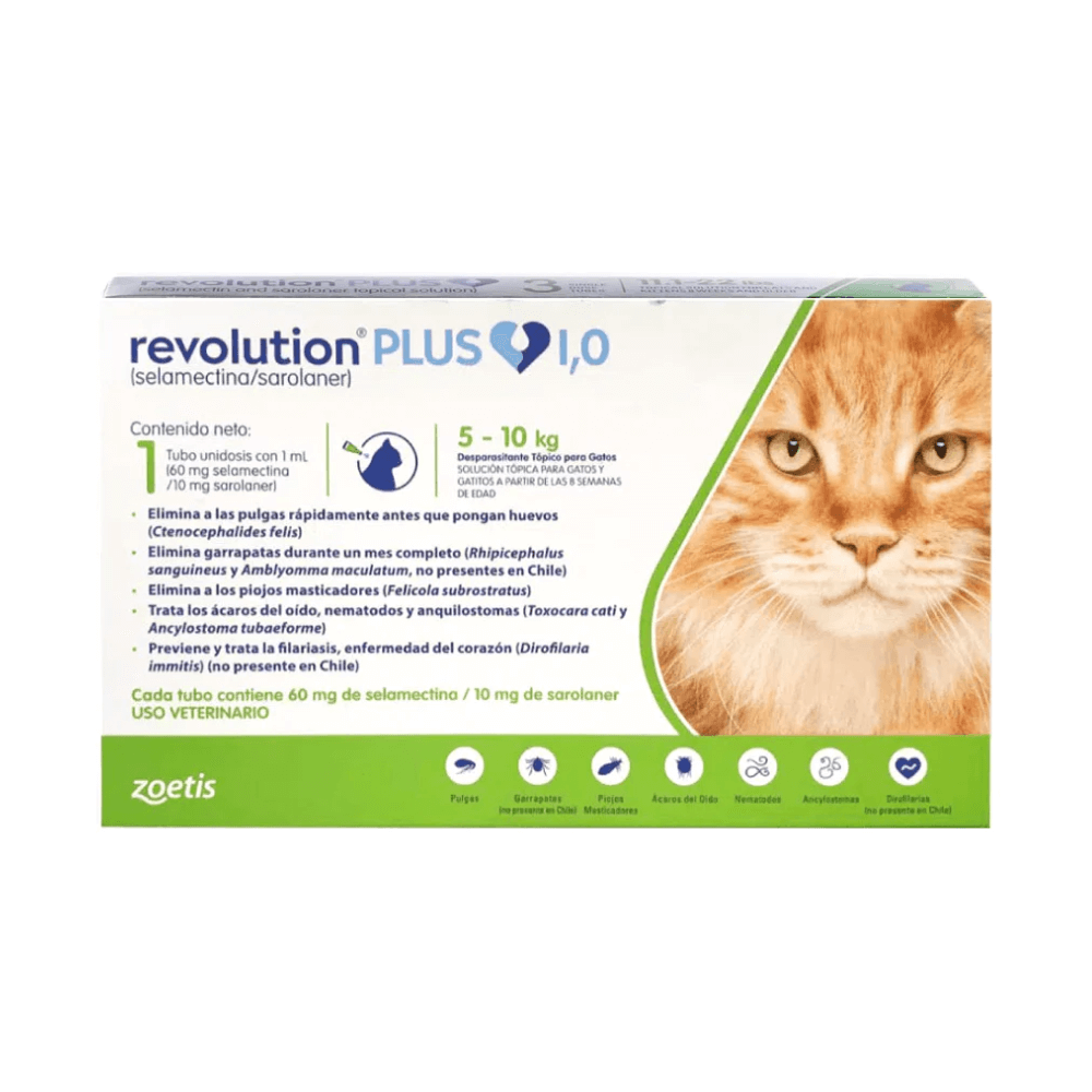 Revolution Plus Para Gatos