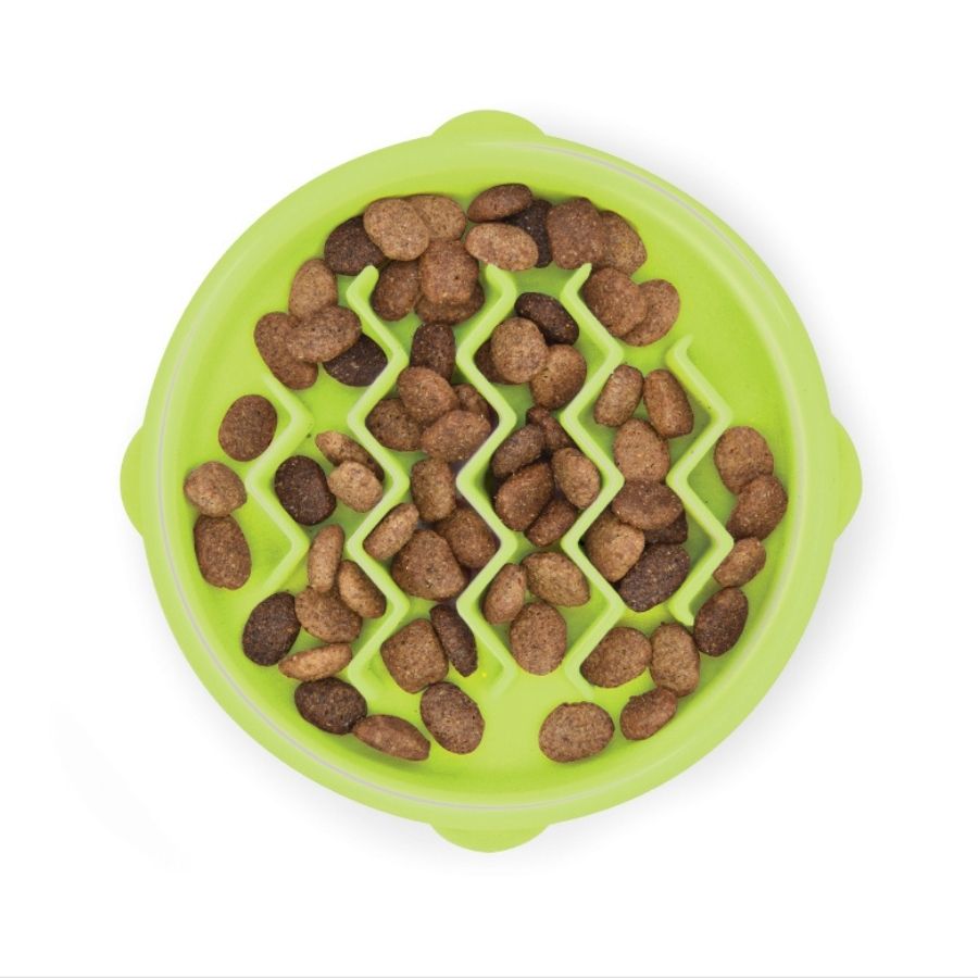 Comedero Lento Para Gatos Petstages