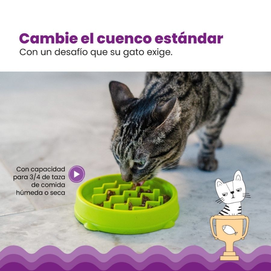 Comedero Lento Para Gatos Petstages
