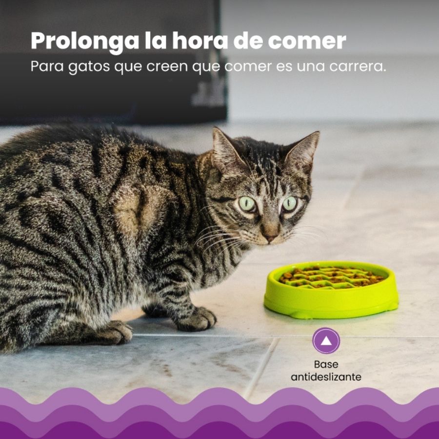 Comedero Lento Para Gatos Petstages