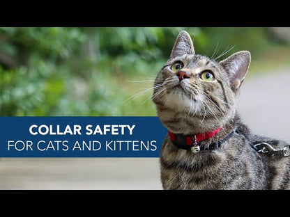 COLLAR COASTAL