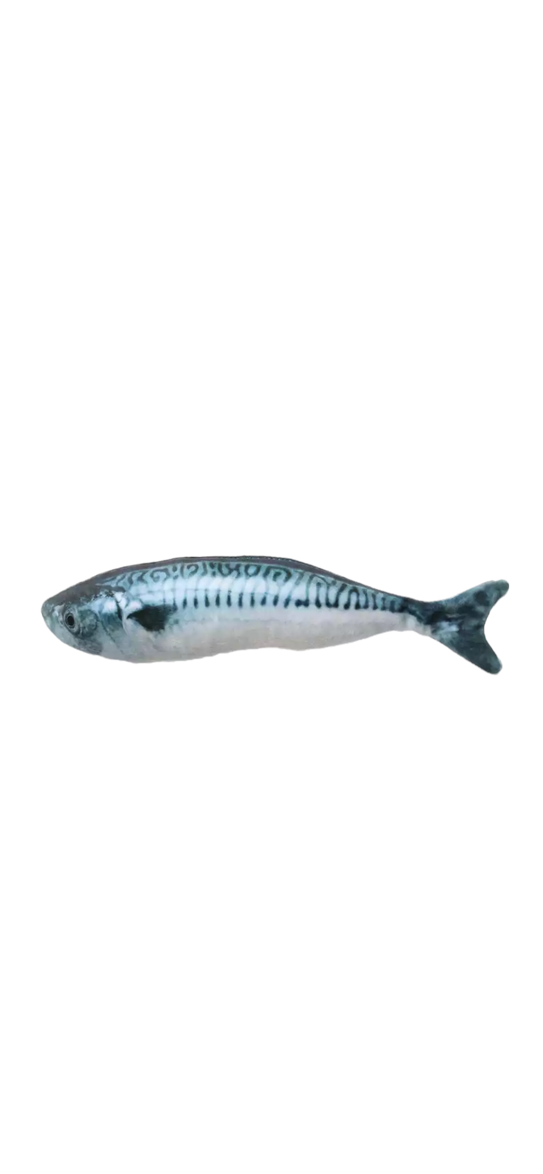 PESCADO JUGUETE CATNIP