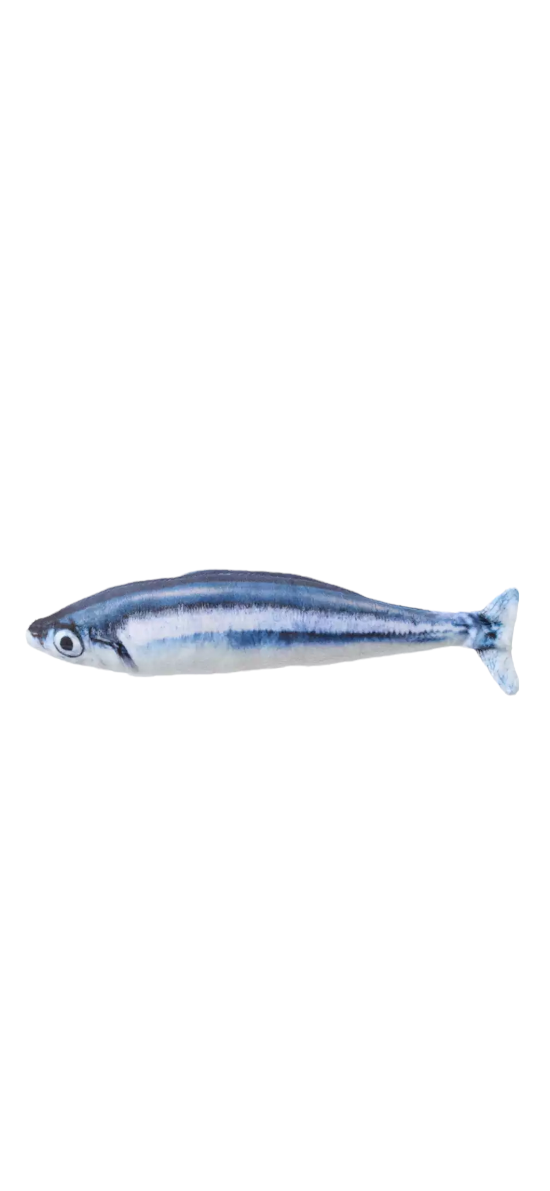PESCADO JUGUETE CATNIP
